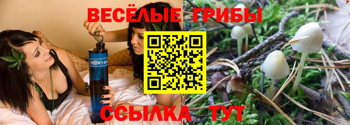 где купить наркоту  Вход с VPN  Галлюциногенные грибы Psilocybe  Удомля  Псилоцибиновые грибы мухоморы 