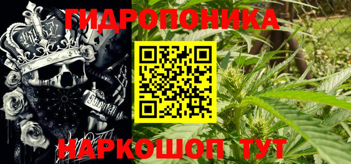 Удомля  Бошки Шишки SATIVA & INDICA  Вход с VPN  Конопля LSD WEED 